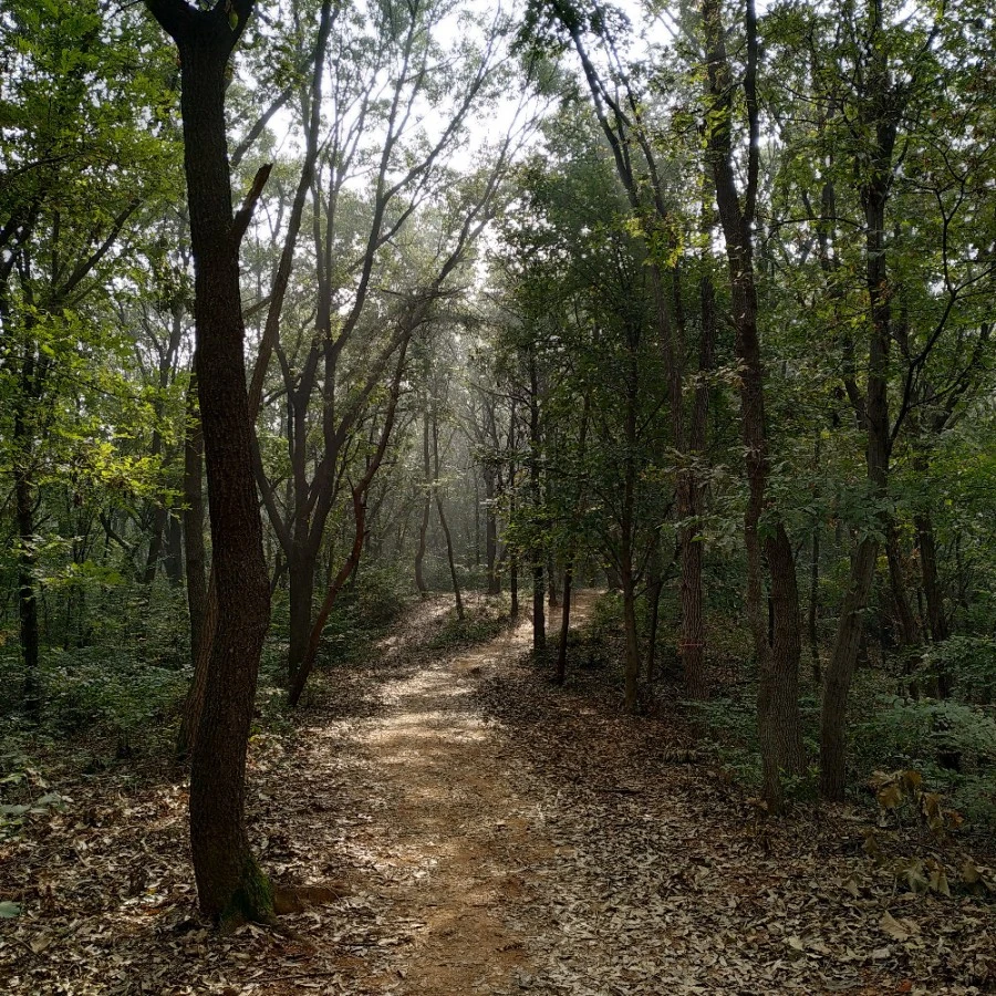 1571216061636.jpg?type=w1