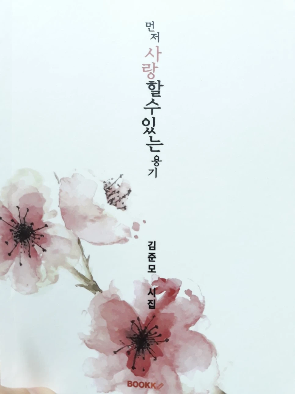 20180522_2318441.jpg?type=w966