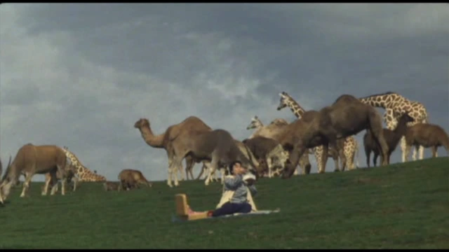 Kao.2000.dvdrip.xvid.ac3-pod.cd1_0000150000ms.png?type=w966