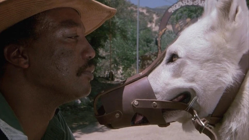 1bvzBSj.jpg?type=w966