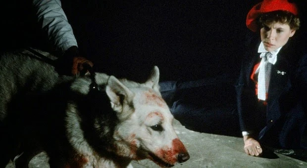 white-dog-MOC.jpg?type=w966