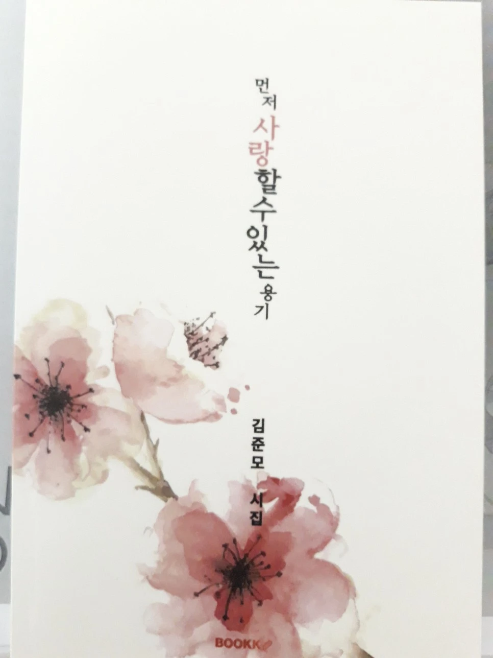 20180522_2318541.jpg?type=w966