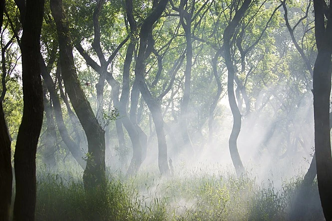 movie_image.jpg?type=m665_443_2