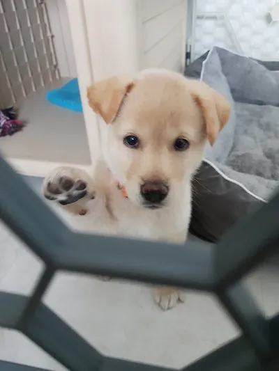 SE-c618173b-4047-4537-af8e-9a0b4026e625.jpg?type=w1600