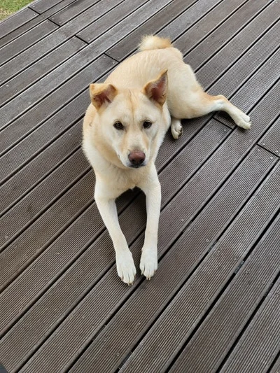 SE-bd84b1e2-2345-4dd6-b436-87685f65e3df.jpg?type=w1600