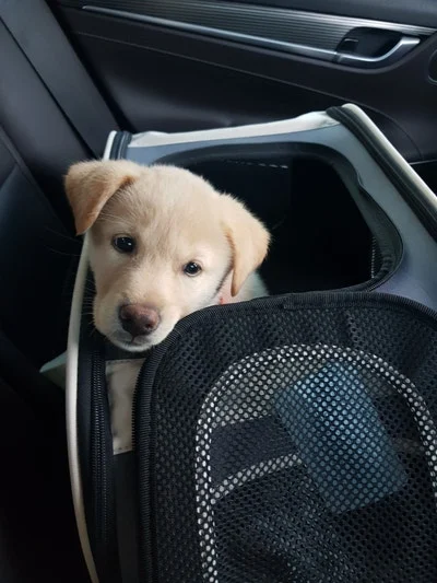 SE-c6472a25-5bf4-4ca6-9c49-84529d9cf7e2.jpg?type=w1600