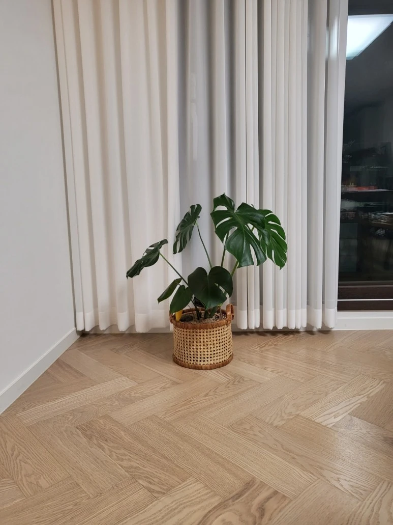 %EB%AA%AC%EC%8A%A4%ED%85%8C%EB%9D%BC3.jpg?type=w773