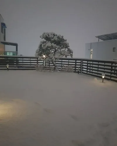 SE-4a944623-a5fc-4450-9867-6e1332d413d9.jpg?type=w1600