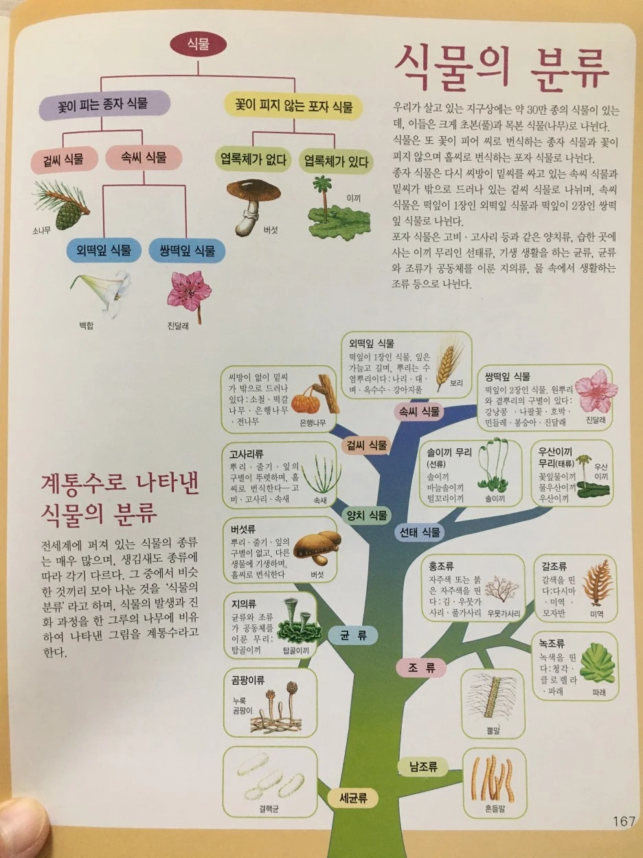 20210511_1415.JPG?type=w1