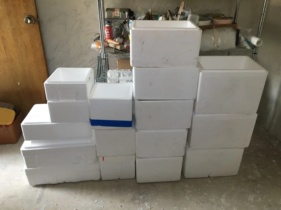 20210331_0444.JPG?type=w1