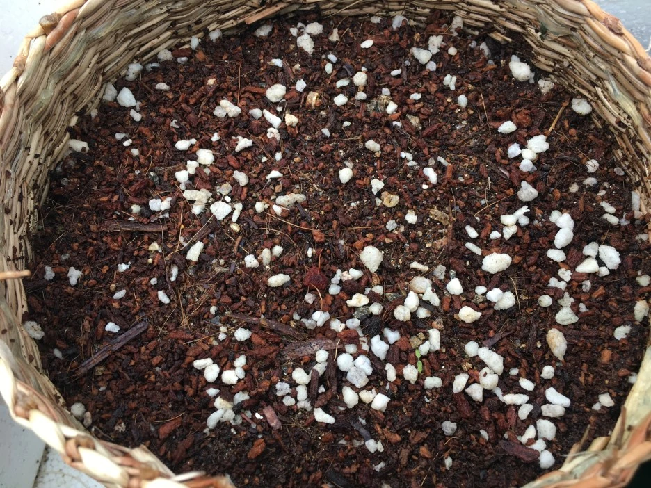 20210501_1216.JPG?type=w1