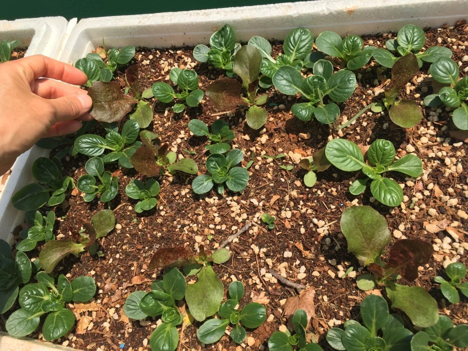 20210503_1270.JPG?type=w1