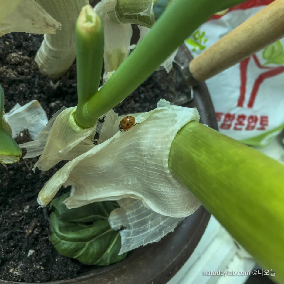 20210302--9.jpg?type=w1