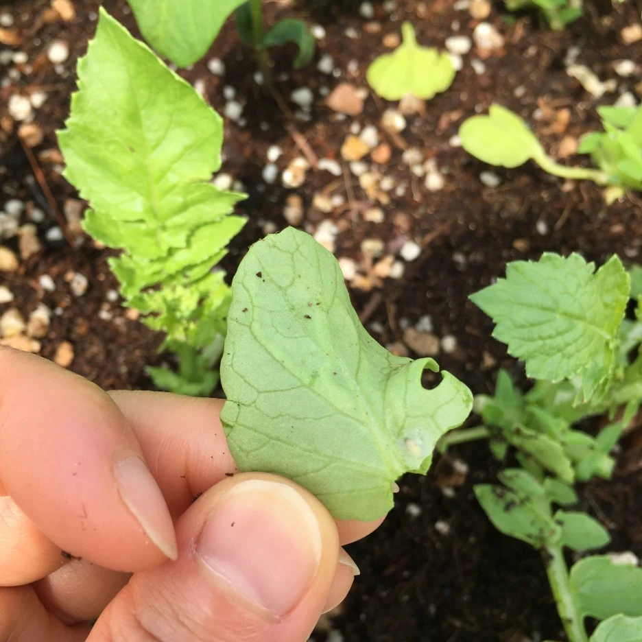 20210518_1636.JPG?type=w1