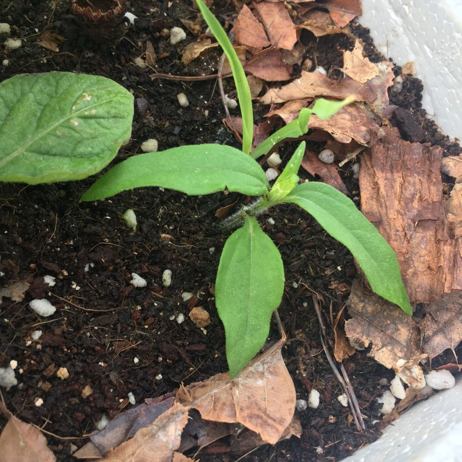 20210521_1761.JPG?type=w1