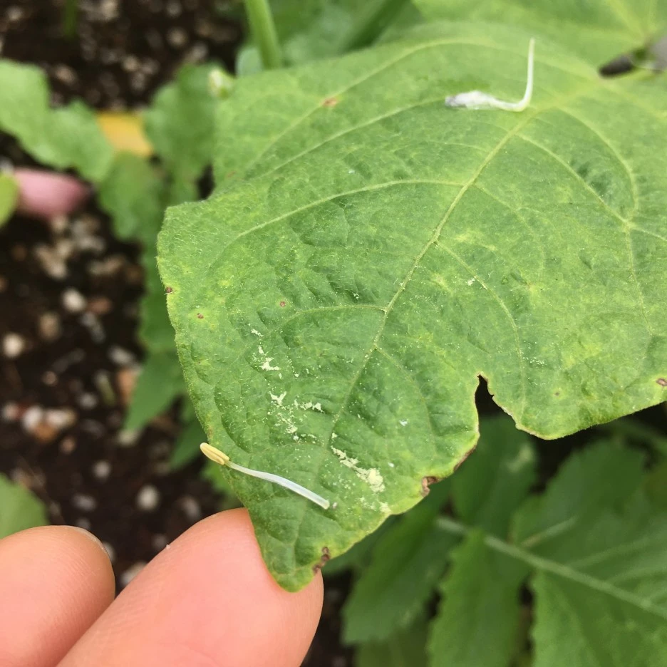 20210521_1775.JPG?type=w1