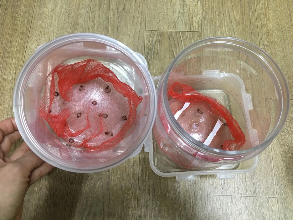 20210309_0106.jpg?type=w1