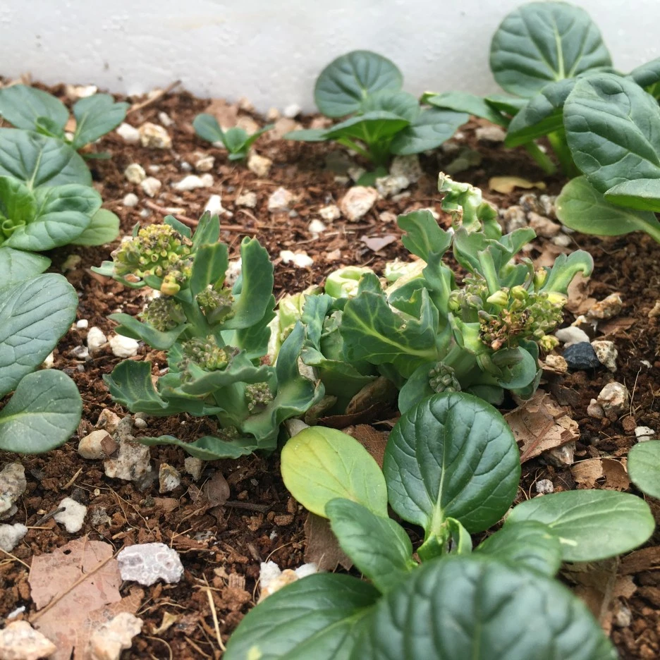 20210510_1354.JPG?type=w1