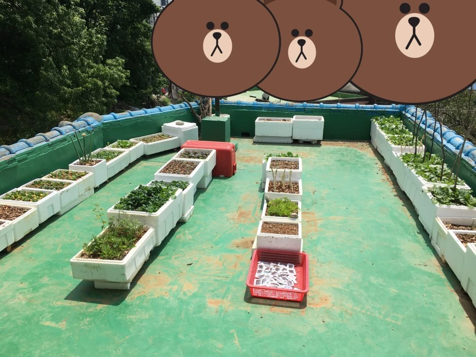 SE-1ce1254a-702e-41d2-8caa-c0c51691d81a.jpg?type=w1