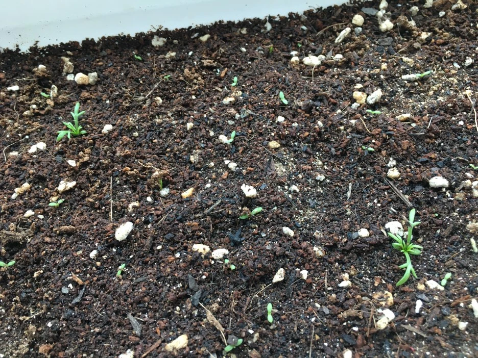 20210412_0970.JPG?type=w1