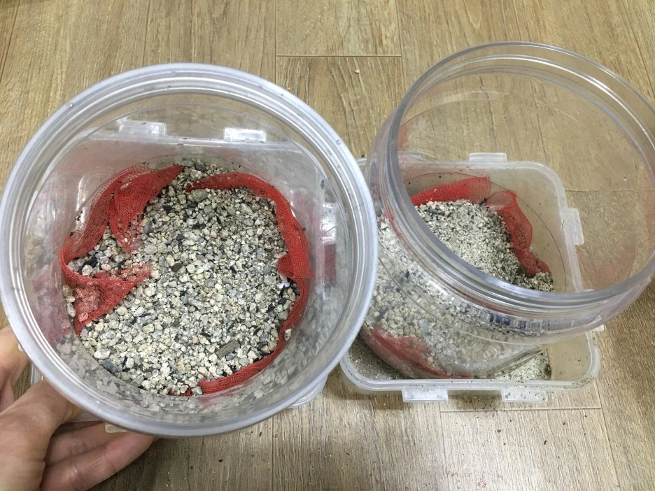 20210309_0108.jpg?type=w1