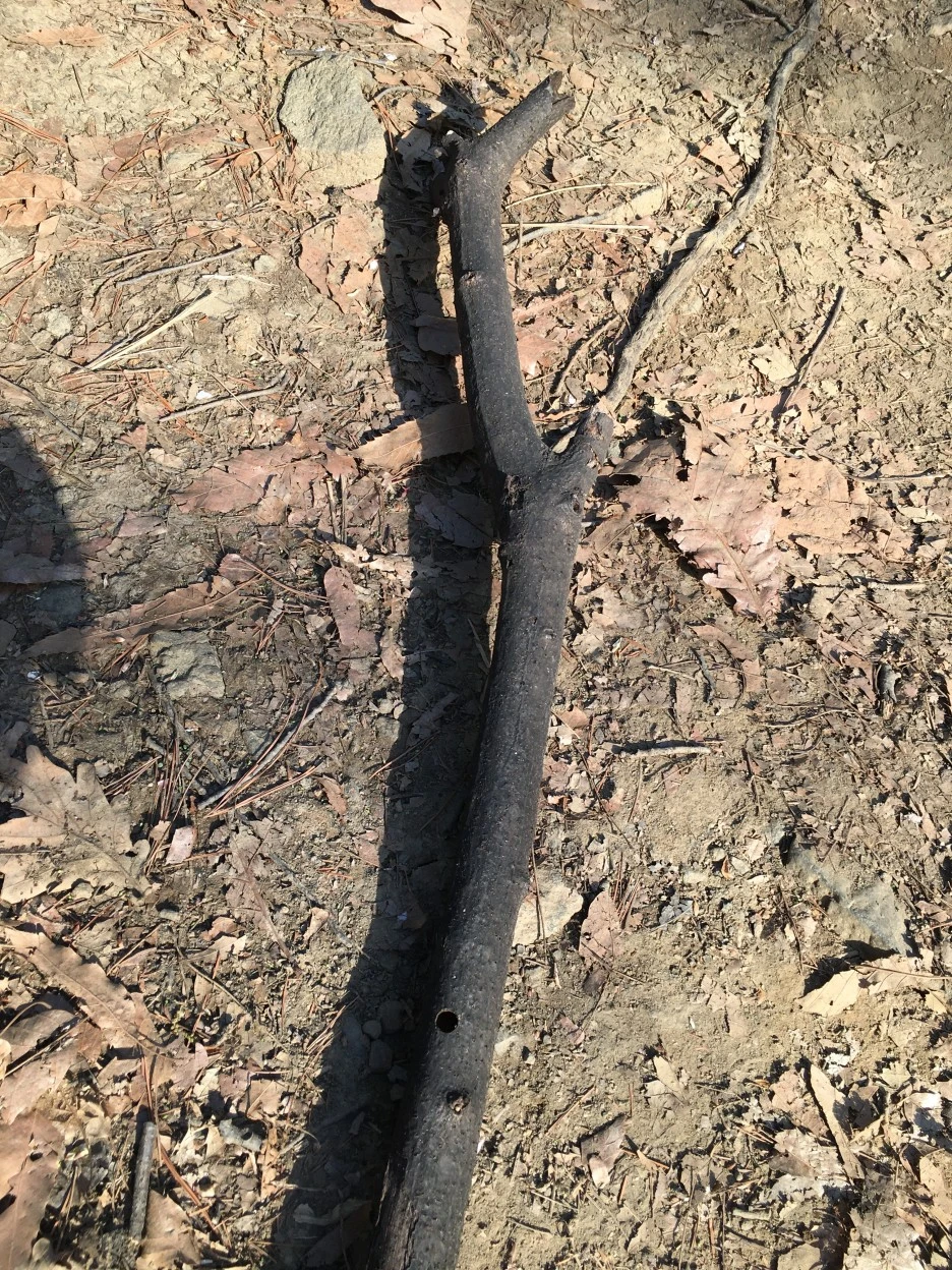 20210408_0582.JPG?type=w1