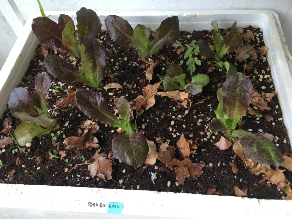 20210517_1607.JPG?type=w1