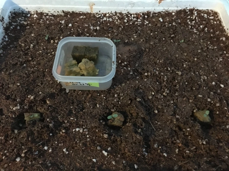 20210411_0935.JPG?type=w1