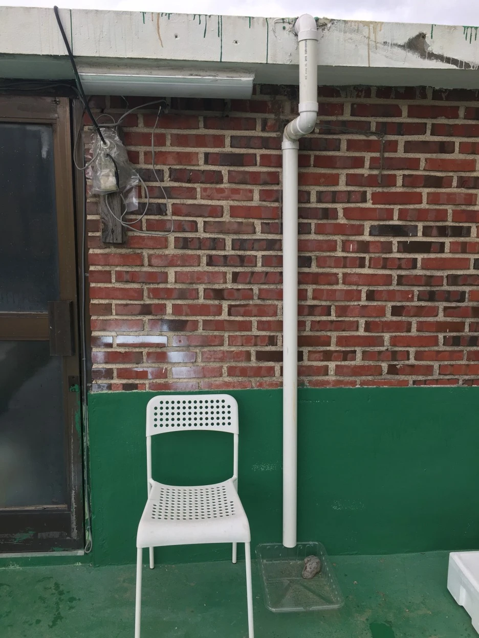 20210417_1142.JPG?type=w1