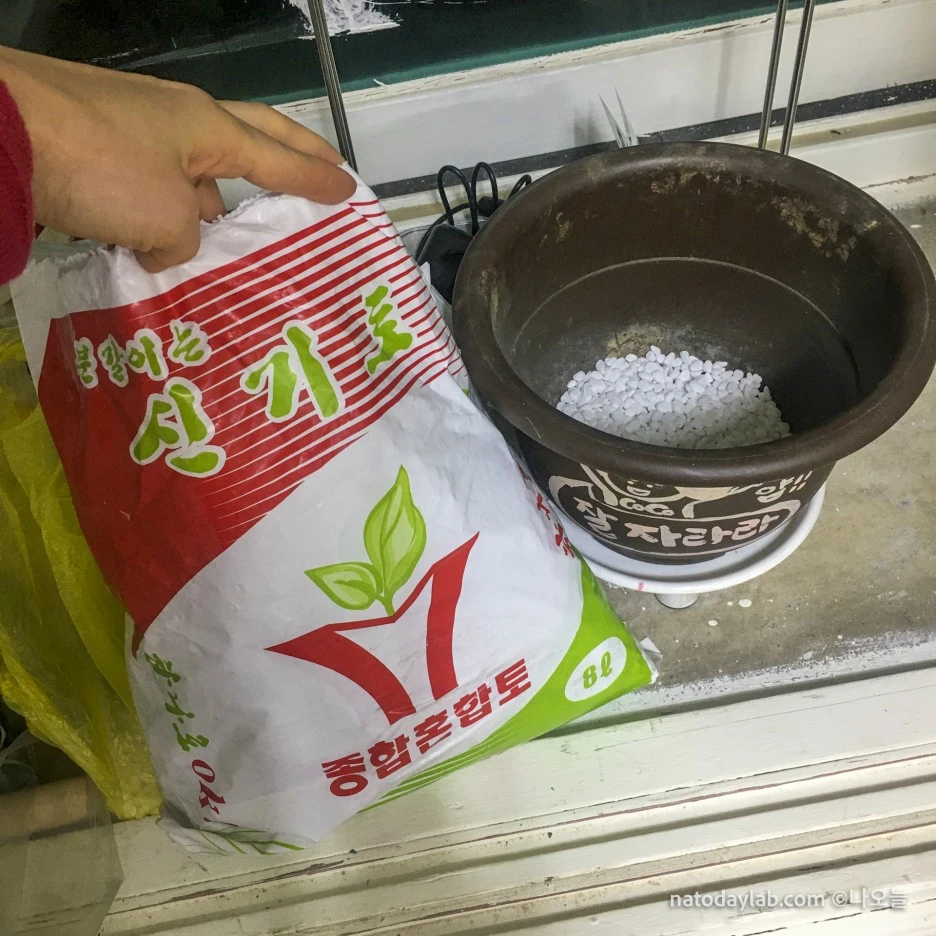 20210211--3.jpg?type=w1