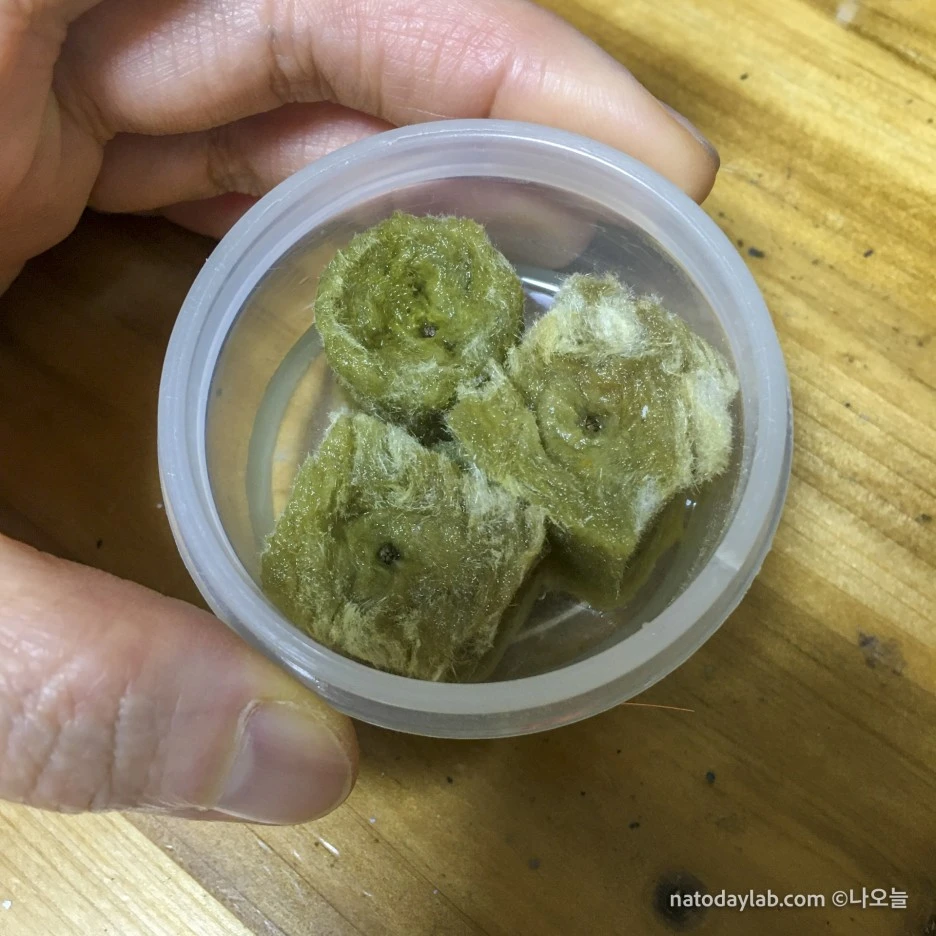 20210215--8.jpg?type=w1