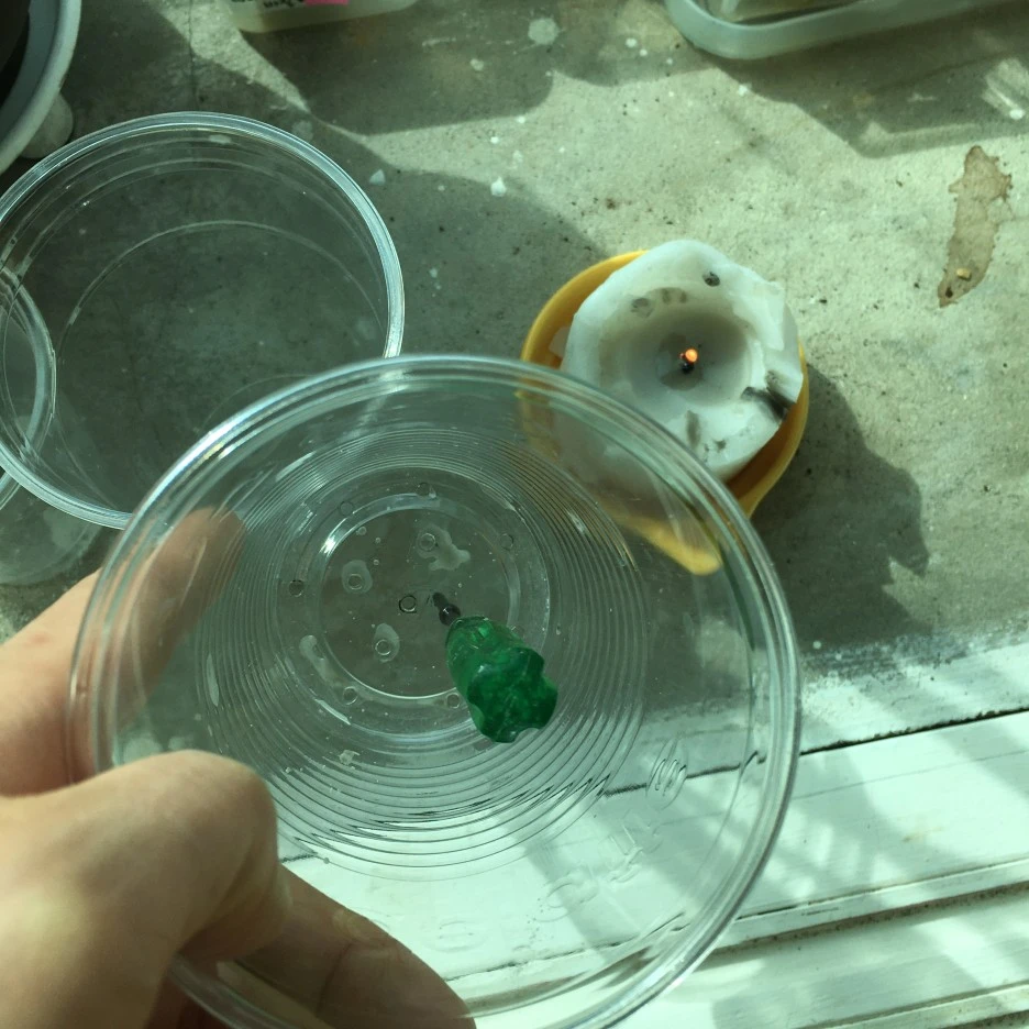 20210401_0455.JPG?type=w1