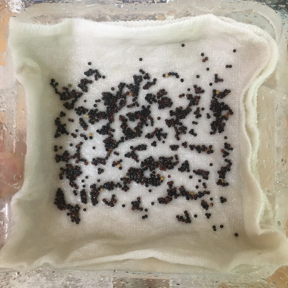 20210422_0937.JPG?type=w1