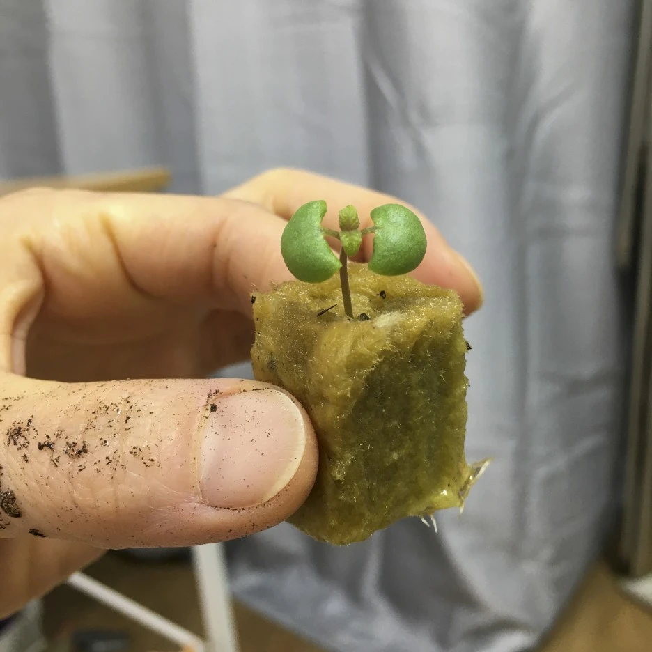 20210309_0115.jpg?type=w1