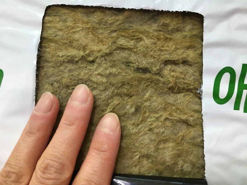 20210408_0579.JPG?type=w1