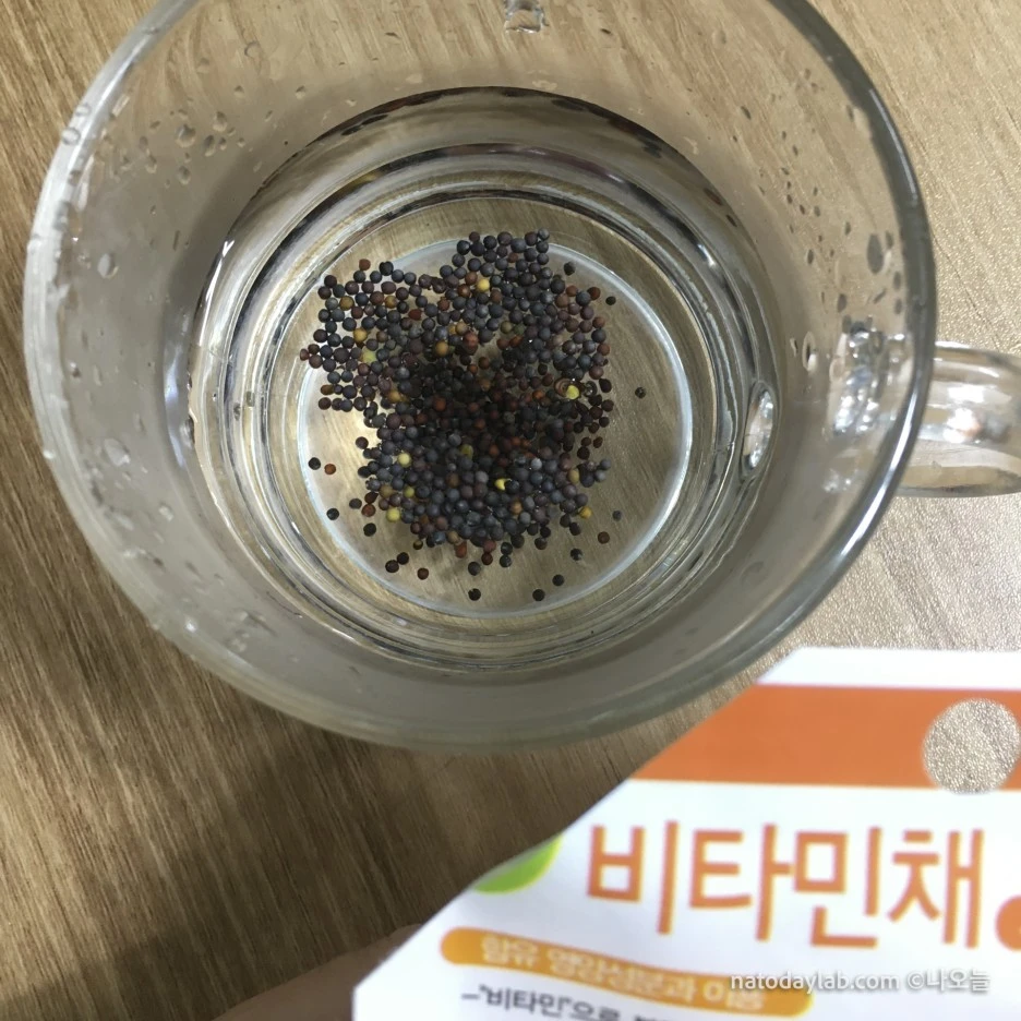 20210318--%EB%82%A0%EC%A7%9C-6.jpg?type=w1