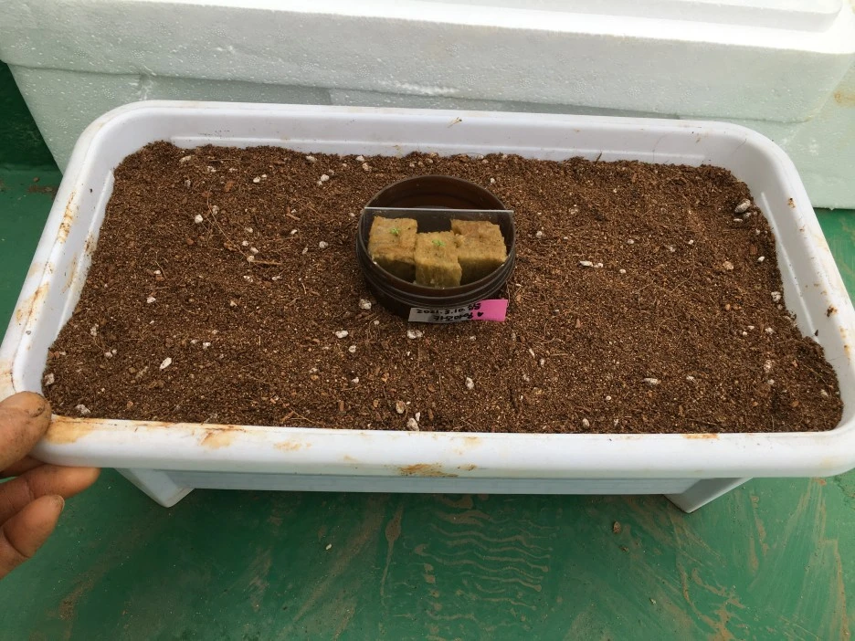 20210402_0501.JPG?type=w1