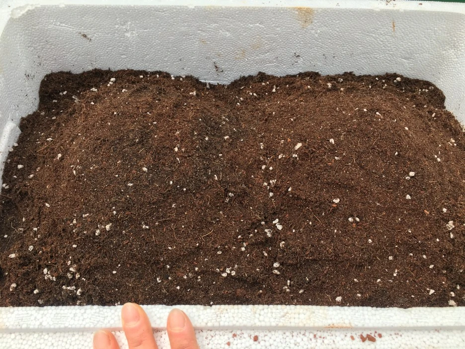 20210428_1138.JPG?type=w1