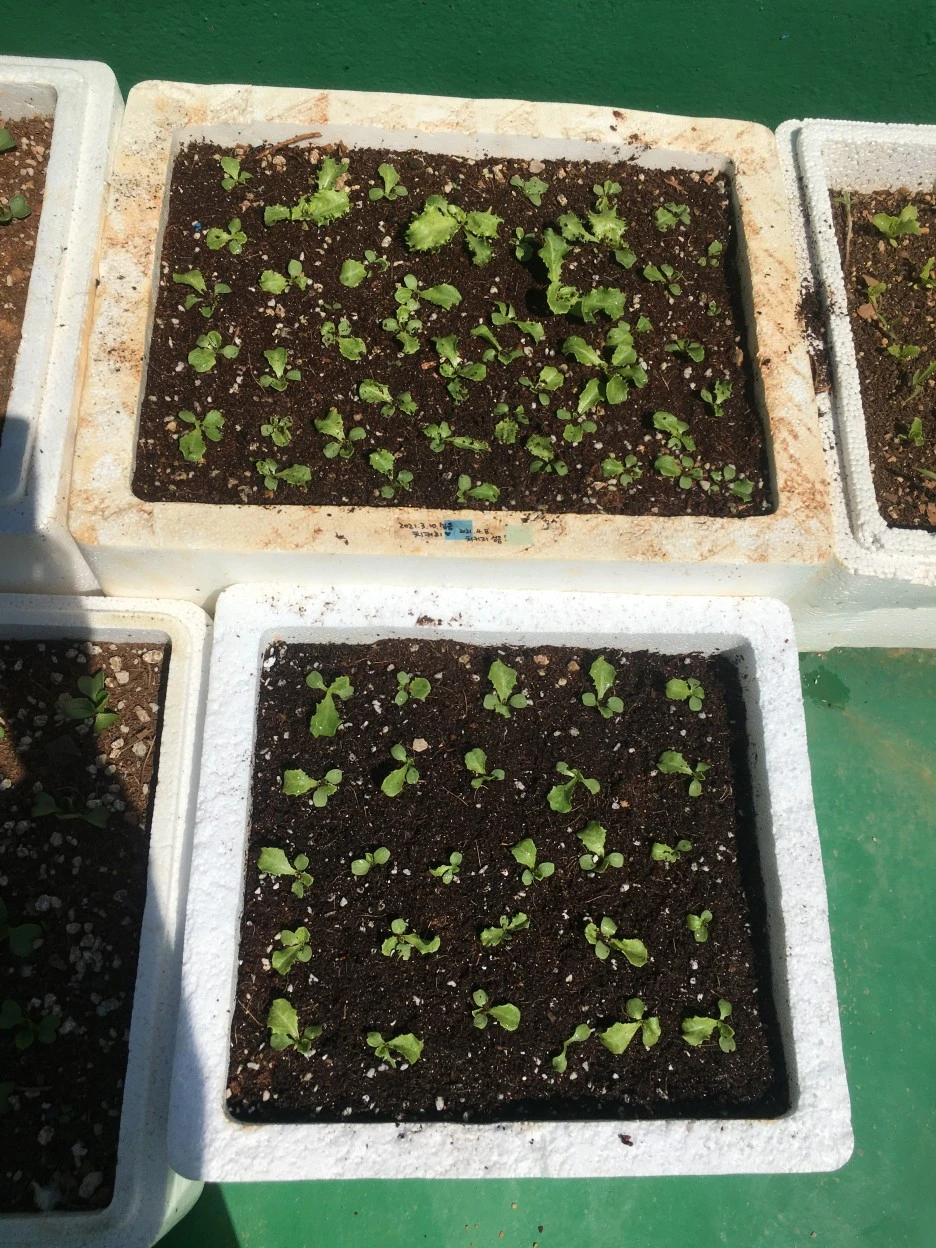 20210509_1331.JPG?type=w1