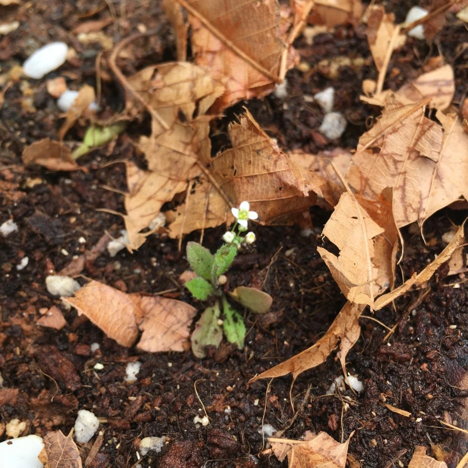 20210515_1554.JPG?type=w1