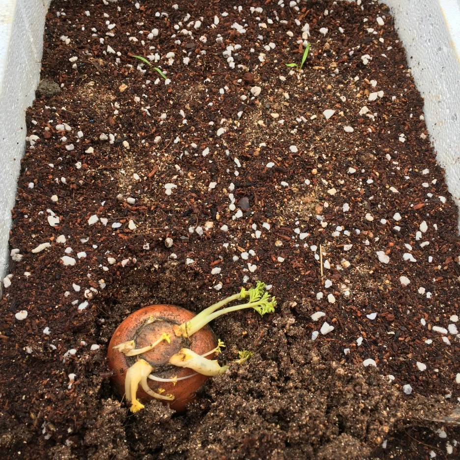 20210403_0523.JPG?type=w1