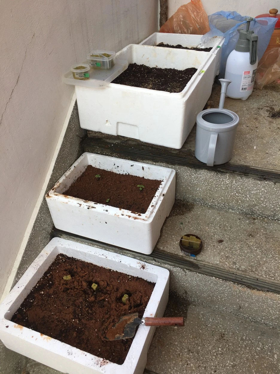 20210325_0324.JPG?type=w1