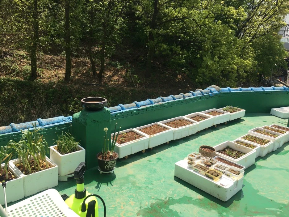 20210421_0903.JPG?type=w1