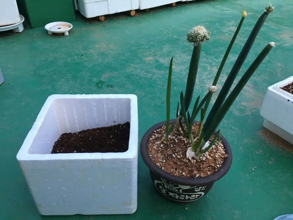 20210503_1284.JPG?type=w1