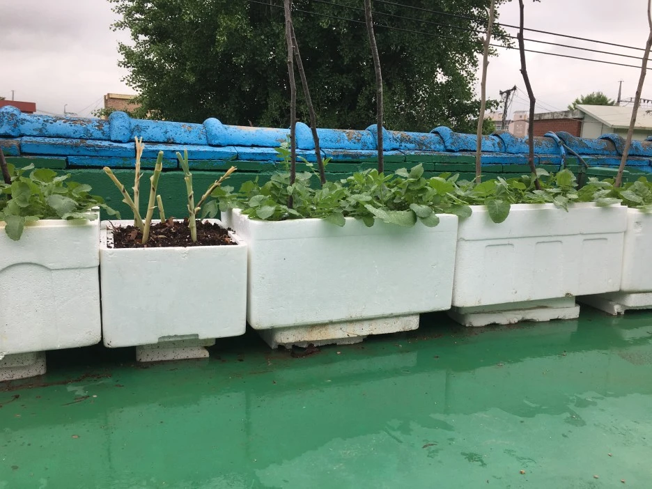 20210517_1618.JPG?type=w1