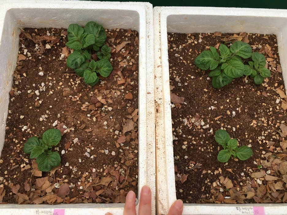 20210427_1113.JPG?type=w1