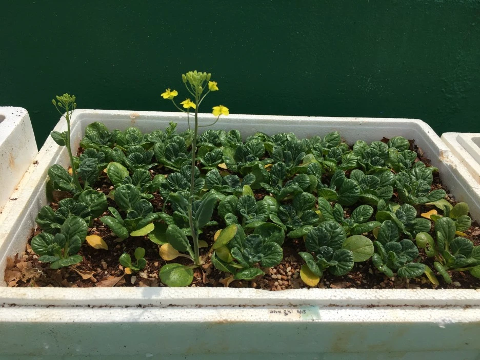 20210514_1490.JPG?type=w1