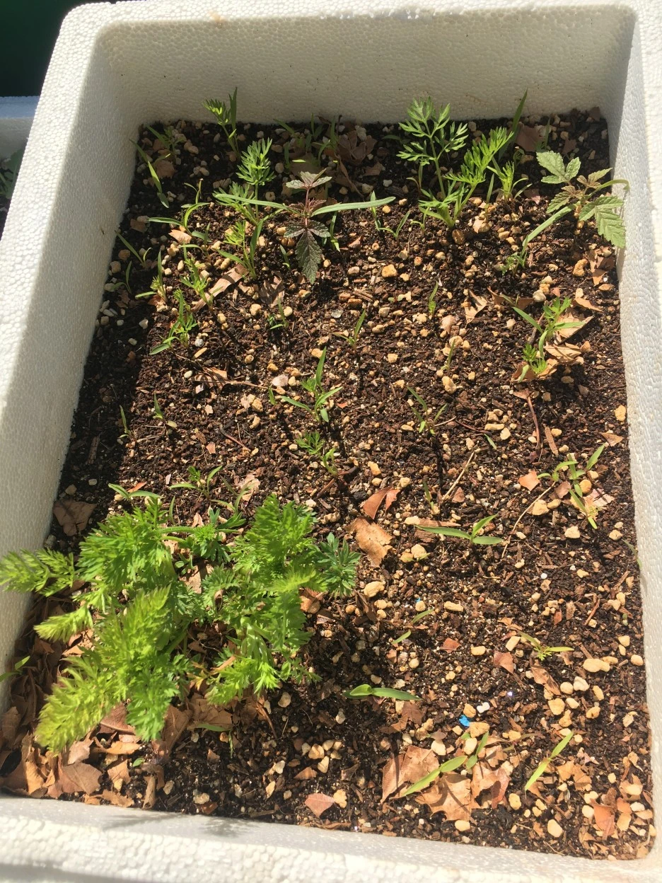 IMG_1007.JPG?type=w1