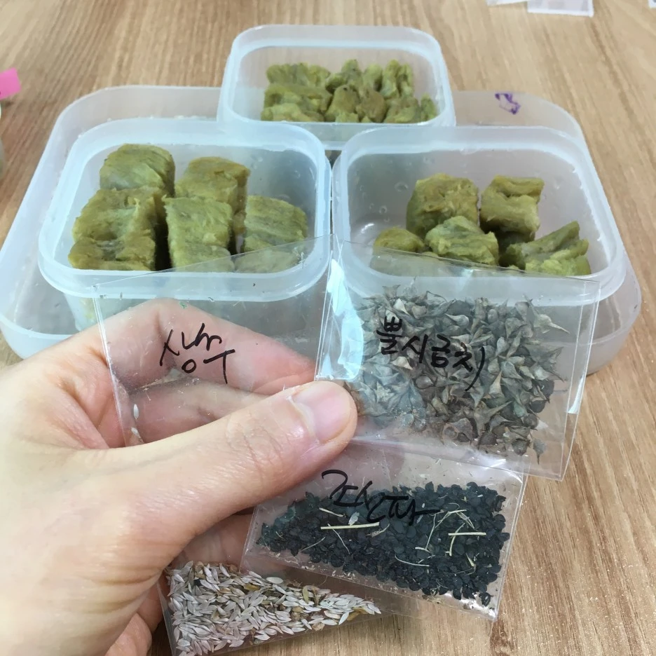 20210403_0527.JPG?type=w1