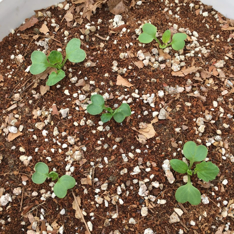 20210427_1112.JPG?type=w1